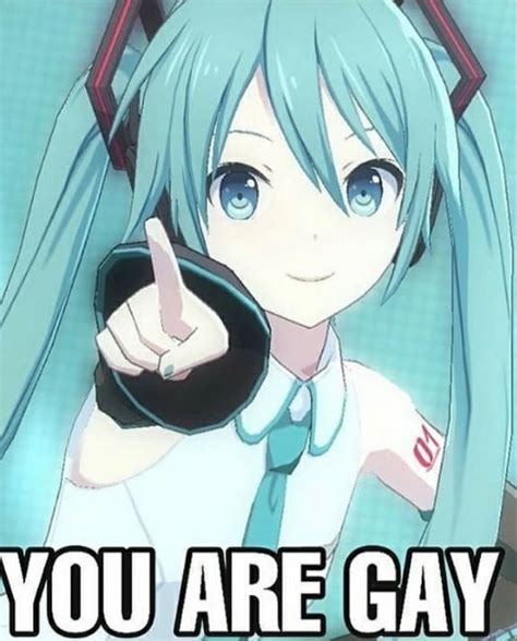 miku meme